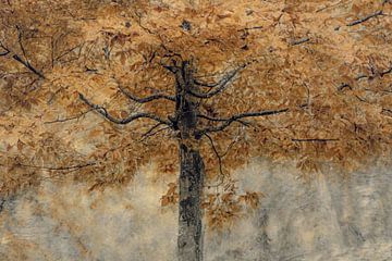 Herfstboom van Yanuschka | Fotografie Noordwijk