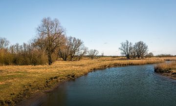 Kreek in de Brabantse Biesbosch