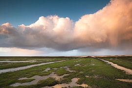 Das Wattenmeer - Wetter und Wind von Peter Kuipers