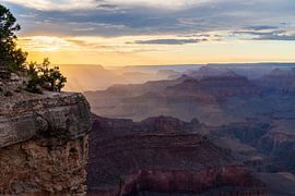 Canyon Veil by Steven Driesen