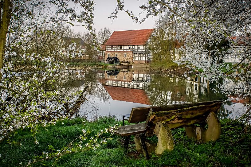 Oude molen Argenstein van Thorsten John