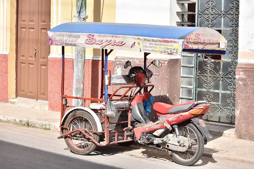 Mexique par Daisy Gubbels