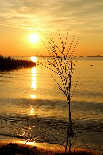 Dromen aan het meer.