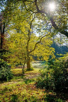 Magische Ausblicke im Herbst auf dem Landgut Rhederoord