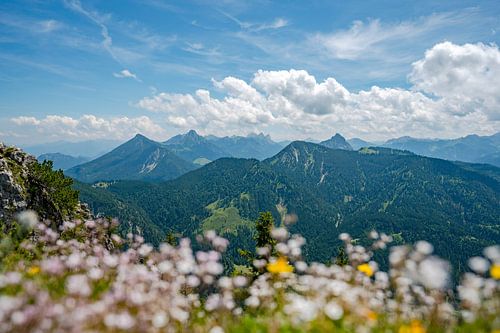 Bloemrijk uitzicht vanaf de Sorgschrofen naar de Oberjoch en de Allgäuer Alpen