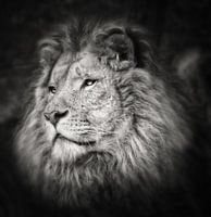 The King