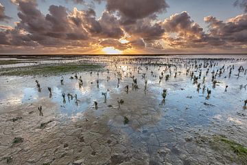 Goud en blauw op de Waddenzee van Ron Buist