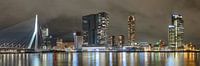 Der Kop van Zuid, Skyline von Rotterdam