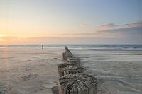 Palenrij Hollum bij zonsondergang