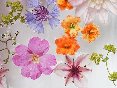BLOEMEN BAD KLEURRIJK ROMANTISCH BOHO IBIZA RAISA