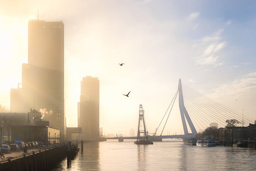 Nevel tijdens de zonsopkomst bij de Erasmusbrug van Prachtig Rotterdam