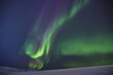 Nordlicht in Norwegen von Anouk van Heumen