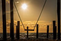 Palendorp Petten