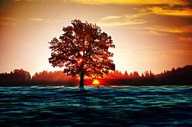 Coucher de soleil sur Reinaerde Digiteam Woerden