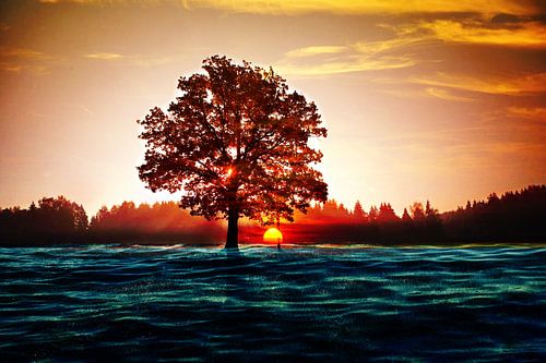 Coucher de soleil
