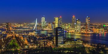 Skyline Rotterdam depuis l'Euromast | Tux Photography - 5 sur Tux Photography