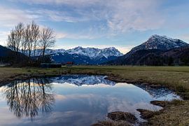 Beautiful reflection at the biotope