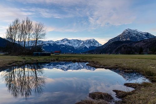Beautiful reflection at the biotope
