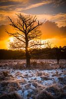 Buurserzand in Avondrood: Vang de Betovering van de Natuur