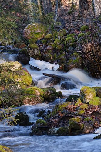 wild water 3 by Geertjan Plooijer