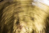 The woods, lightpainting in yellow