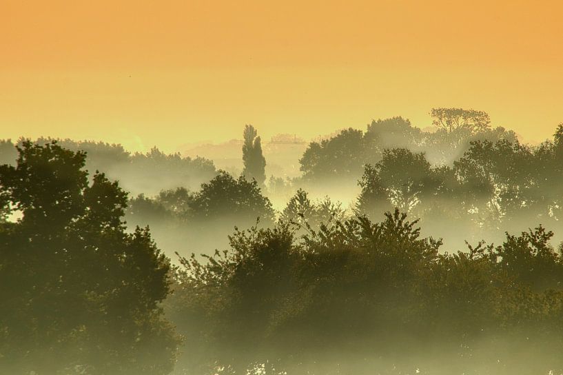 nebliger Sonnenaufgang im Wald von Rudi Everaert
