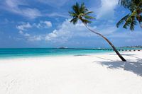 maldives