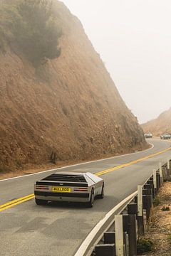 Aston Martin Bulldog van Bas de Glopper