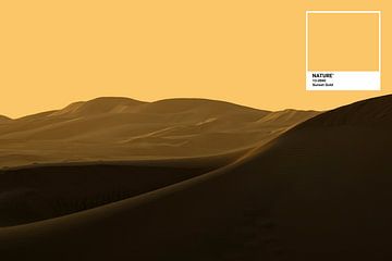 Sunset Gold - Desert Sunset by Joost van Lieshout