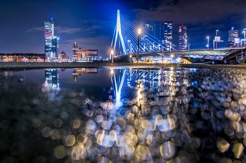 Erasmusbrug van Rotterdam