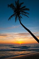 Sunset at the dream beach