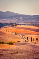 Val d'orcia