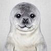 Baby Seal by Gal Design
