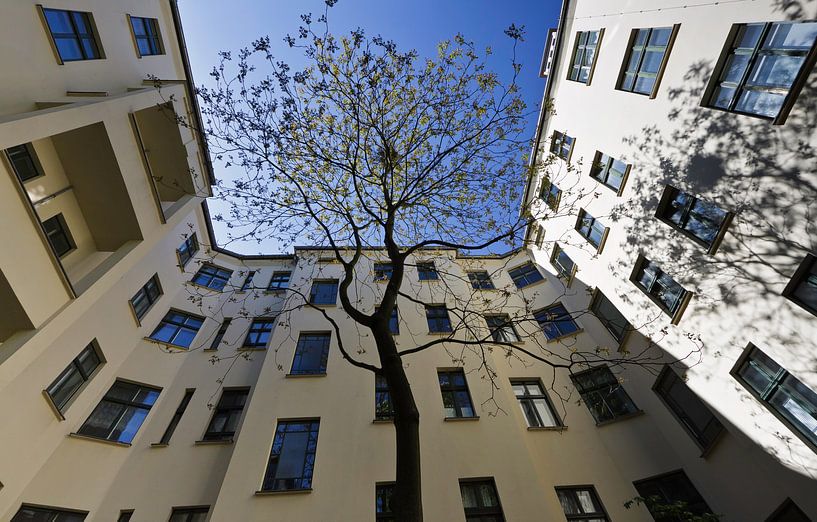 Baum in Berlin Hof von Eddie Meijer