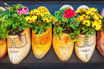 Oude klompen met bloemen van Martin Bergsma