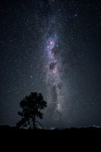 Nachthimmel von Markus Gann