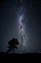 Nachtelijke hemel van Markus Gann thumbnail