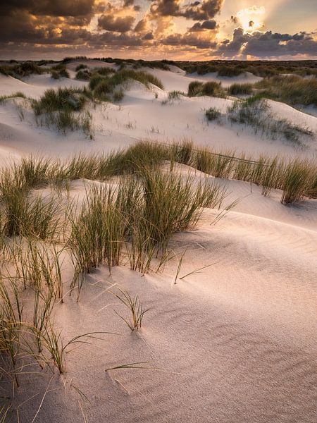 Duinen op Texel van Bob Luijks