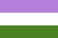Genderqueer Pride Flag van Bear Necessities thumbnail