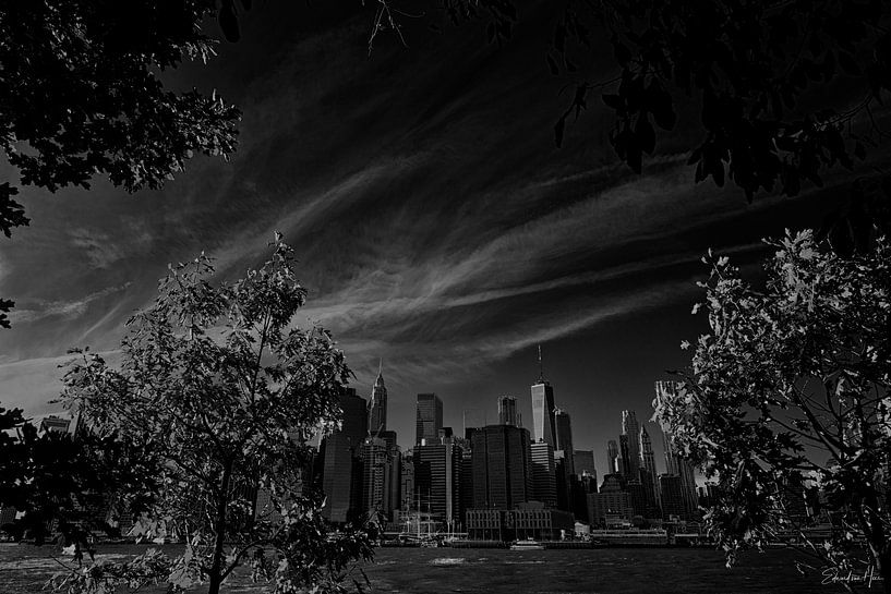 Skyline with trees by Edward van Hees