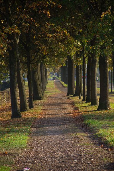 herfst by Nicole Wetzels