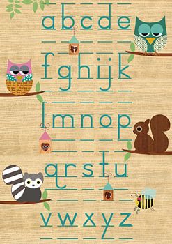 Learning ABC with owls