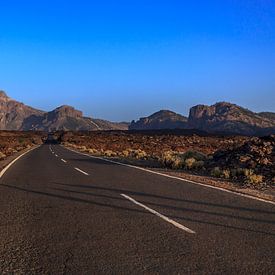 "Road to nowhere" van Wil de Boer