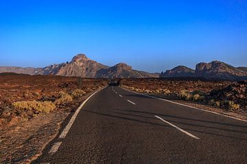 "Road to nowhere" van Wil de Boer