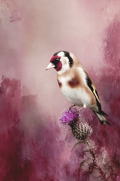 Goldfinch on Purple Thistle - A Natural Beauty by Karina Brouwer