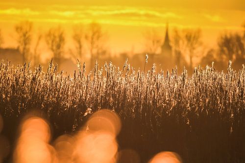 Het Friese landschap