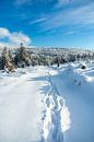 Korte winterwandeling rond de besneeuwde Inselsberg bij Brotterode - Thüringen - Duitsland van Oliver Hlavaty thumbnail