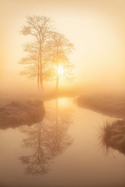 Misty mood van Halma Fotografie