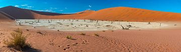 Panoramafoto met een overzicht van de Dode vallei, Namibië van Rietje Bulthuis