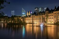 The Hague: Hofvijver at night by Erik Brons thumbnail
